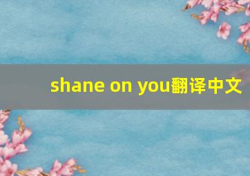 shane on you翻译中文